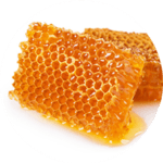 Gelée royale